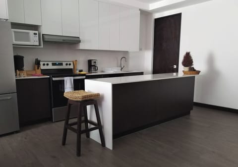 Deluxe Apartment | Private kitchen | Full-size fridge, microwave, oven, toaster