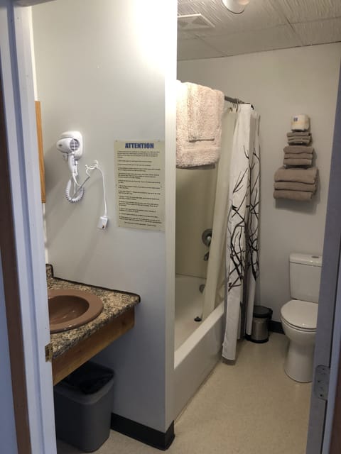 Combined shower/tub, free toiletries, hair dryer, towels