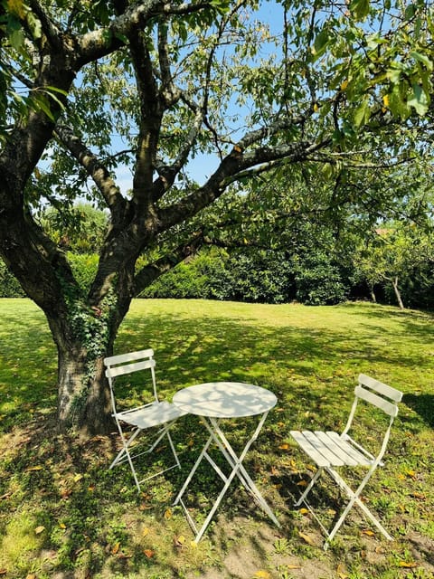 07b0471a-61e3-42ef-b854-74f29845a268