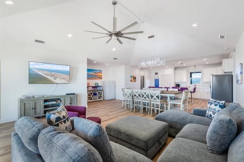 003 Pet Friendly Living Room Purple Waves