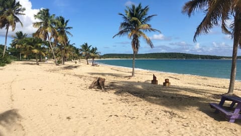 Sun loungers, beach towels