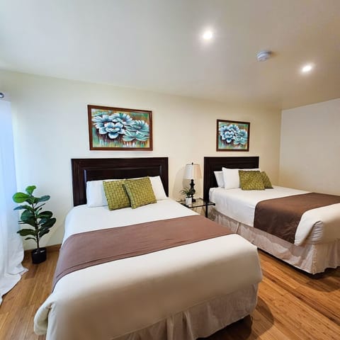 Executive Room, 2 Queen Beds | Egyptian cotton sheets, premium bedding, down comforters, in-room safe