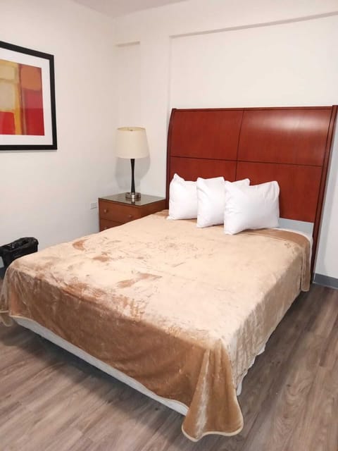 Standard Single Room | Down comforters, individually decorated, individually furnished