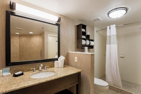 Room, 1 King Bed (Whirl Pool Tub) | Bathroom | Free toiletries, hair dryer, towels