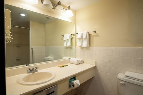 Deluxe Single Room | Bathroom