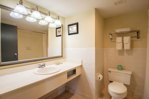 Deluxe Double Room | Bathroom