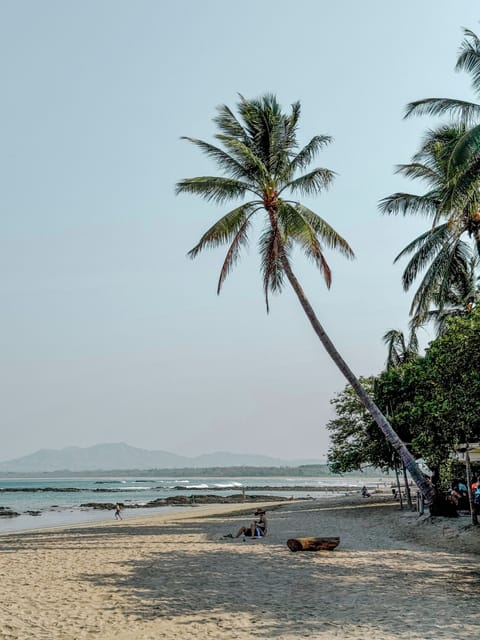 On the beach, black sand, free beach shuttle