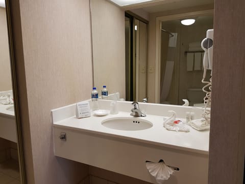 Suite, 1 King Bed with Sofa bed (Master Suite) | Bathroom | Shower, free toiletries, hair dryer, towels