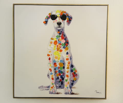 Meet Polka! Born to show off his rainbow dots like no other. 