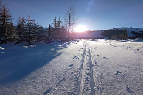 Immediate Surroundings [winter] (&lt;1 km)