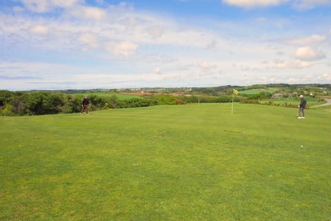 Region [summer] (&gt;5 km)