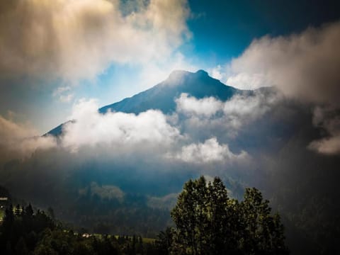 Region [summer] (>5 km)