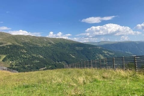 Immediate Surroundings [summer] (<1 km)