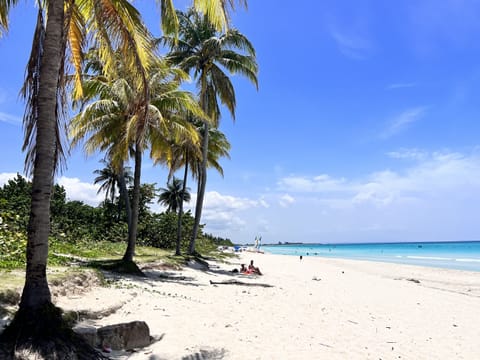 Beach nearby, white sand, sun loungers, beach umbrellas