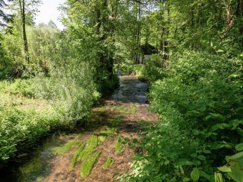 Region [summer] (>5 km)