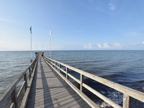 Immediate Surroundings [summer] (<1 km)