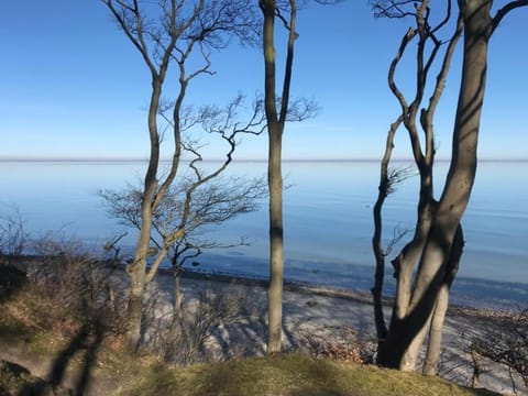 Region [summer] (>5 km)