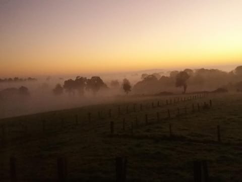 Region [winter] (>5 km)