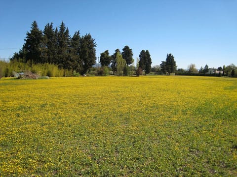 Surroundings [summer] (1-5 km)