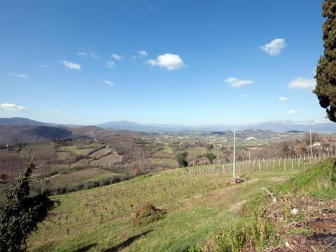 Surroundings [summer] (1-5 km)