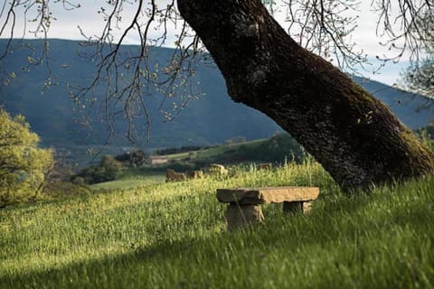 Surroundings [summer] (1-5 km)