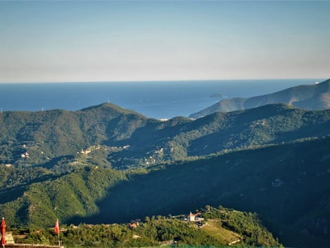 View from Holiday Home [summer]