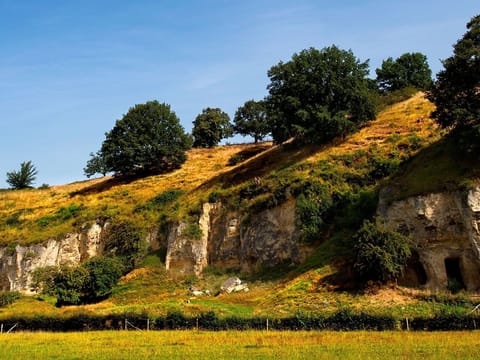 Region [summer] (>5 km)