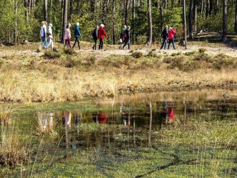 Region [summer] (>5 km)