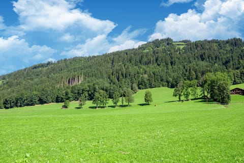 Surroundings [summer] (1-5 km)