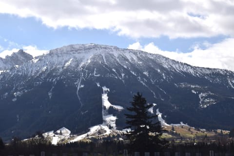 Immediate Surroundings [summer] (&lt;1 km)