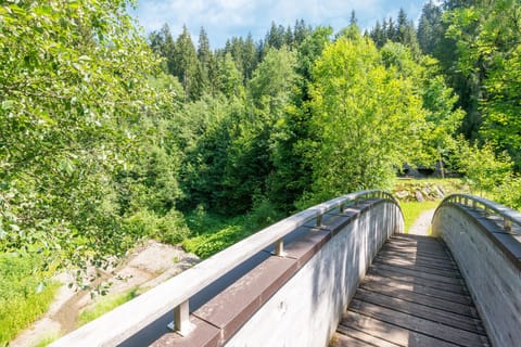 Immediate Surroundings [summer] (&lt;1 km)