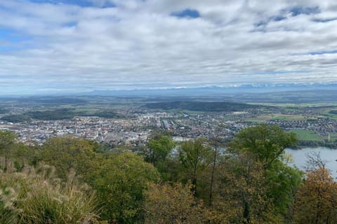 Region [summer] (>5 km)