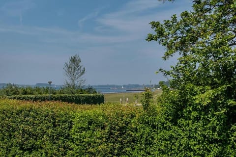 Region [summer] (&gt;5 km)