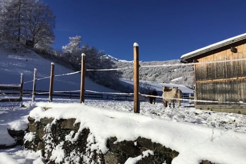 Holiday Home Exterior [winter]