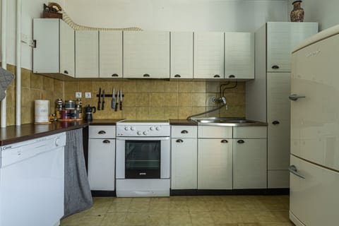 Family Apartment, 2 Bedrooms (Lovely Flat Tolmin) | Private kitchen | Fridge, microwave, oven, stovetop