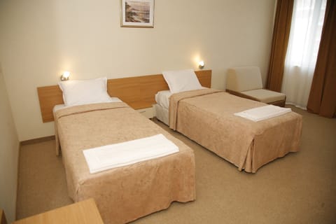 Standard Twin Room | Desk, iron/ironing board, free WiFi