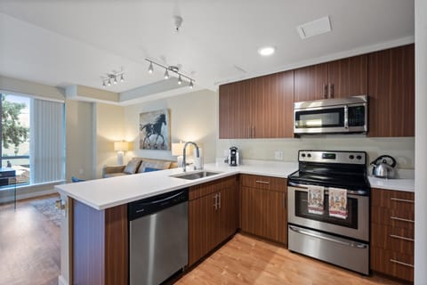 Luxury Apartment, 1 Bedroom | Private kitchen | Full-size fridge, microwave, oven, stovetop