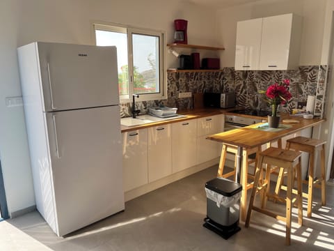 Family Duplex | Private kitchen | Full-size fridge, microwave, oven, stovetop