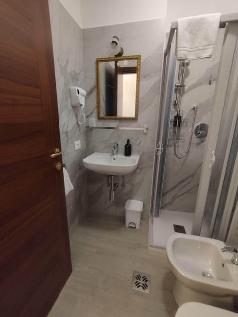 Shower, hair dryer, bidet, soap