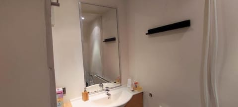 Apartment European Area 13 | Bathroom | Hair dryer, towels, soap, shampoo