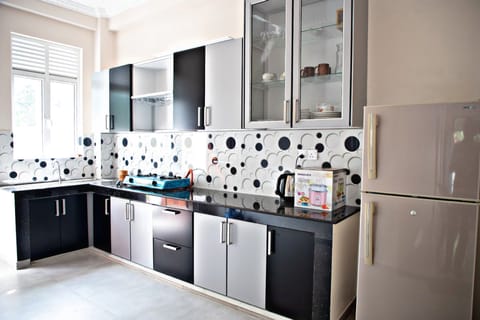 Deluxe Apartment | Private kitchen | Full-size fridge, microwave, toaster, rice cooker