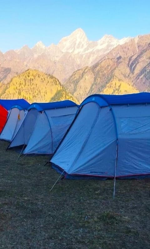 Standard Tent | Free WiFi