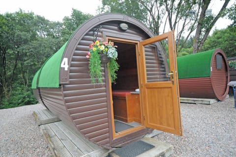 Economy Cabin, 1 Bedroom (Mini Lodge)