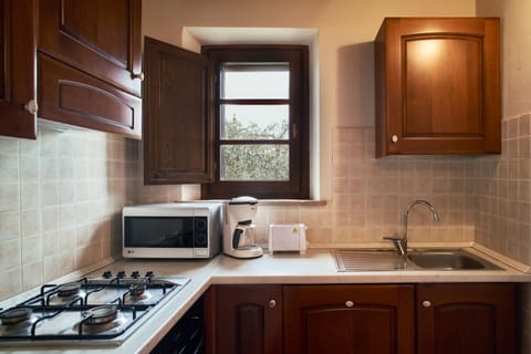 Deluxe Condo | Private kitchen | Full-size fridge, microwave, espresso maker, coffee/tea maker