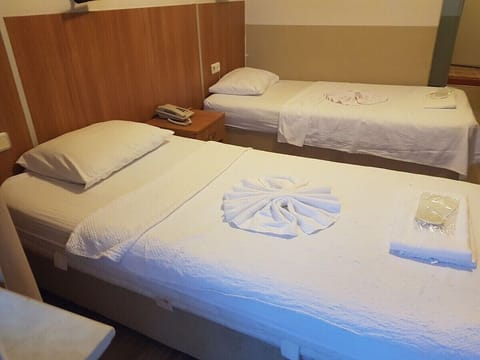 Economy Triple Room | Free WiFi