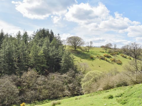 Setting | Slade Barn - Slade Farm, Brayford