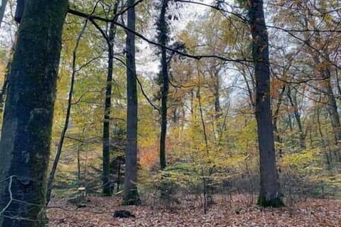 65c2fbad f264 4c9e 96b8 c21f73dc9cd8