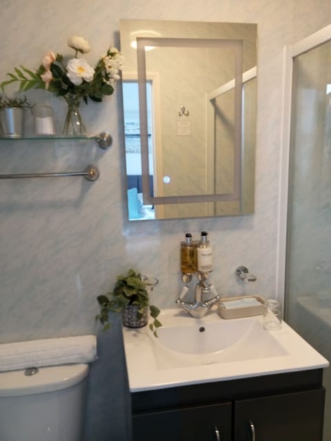 Superior Double Room, Ensuite | Bathroom | Shower, hydromassage showerhead, designer toiletries, hair dryer