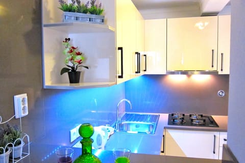 Family Apartment | Private kitchen | Microwave, espresso maker, coffee/tea maker, electric kettle