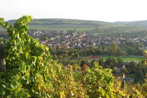 Land view from property